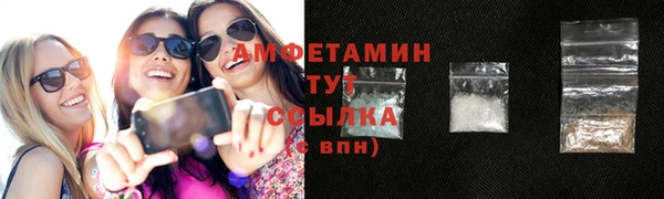 шишки Аркадак