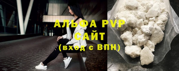 шишки Аркадак
