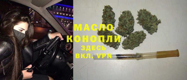 прущие грибы Армянск