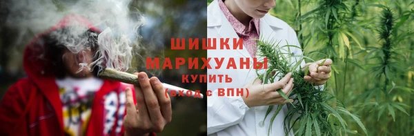 эйфоретик Арсеньев