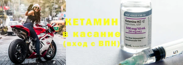 шишки Аркадак