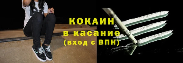 шишки Аркадак