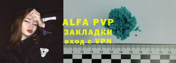 шишки Аркадак