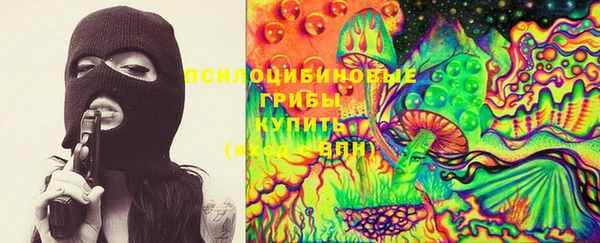 прущие грибы Армянск