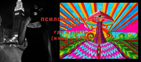 эйфоретик Арсеньев