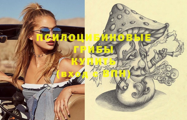 шишки Аркадак