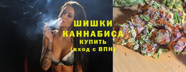 прущие грибы Армянск