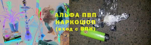 шишки Аркадак