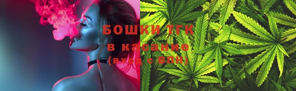 шишки Аркадак