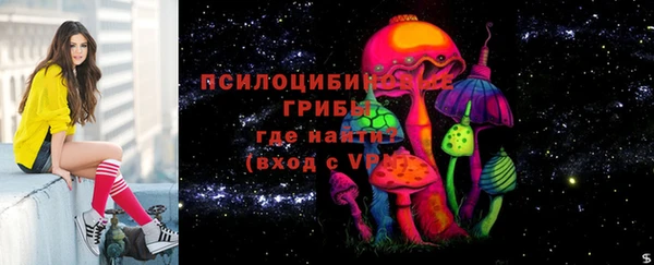 эйфоретик Арсеньев
