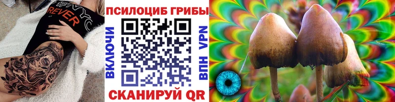 Галлюциногенные грибы Cubensis  Пыть-Ях 